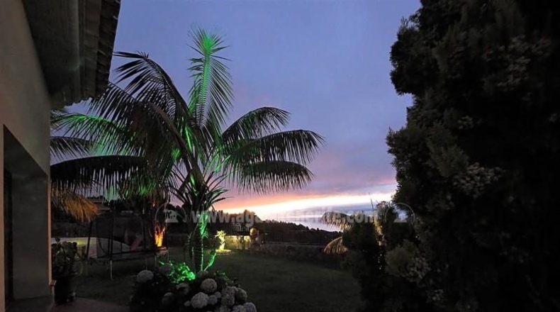 Santa Cruz de Tenerife - Icod de los Vinos - 341m2