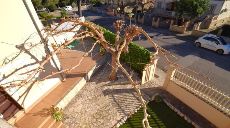 Islas Baleares - Muro - 346m2