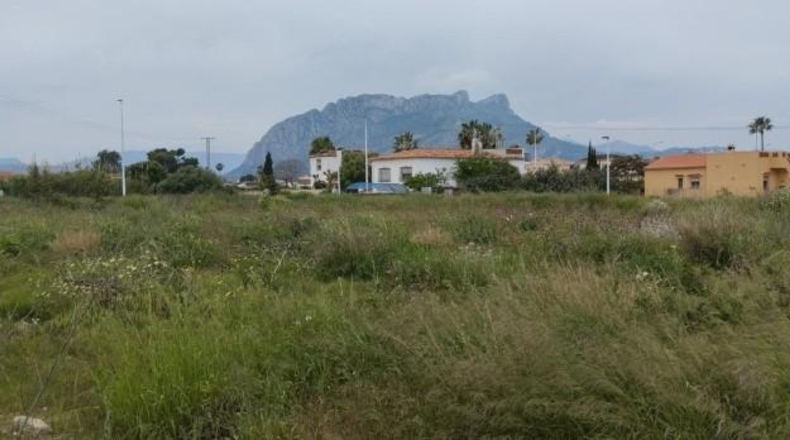 Alicante - els Poblets - 1475m2