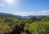 Country house with land for sale on España, Cortes de la Frontera, ref: TR375172 photo