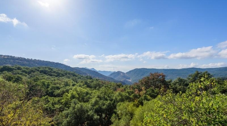 Málaga - Cortes de la Frontera - 12864m2