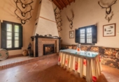 Country house with land for sale on España, Cortes de la Frontera, ref: TR375172 photo