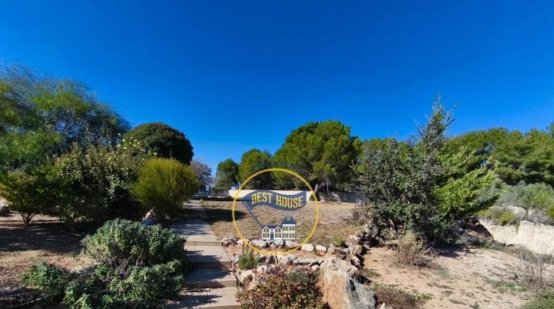 Valencia - Onteniente - 17486m2