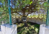 Chalet independiente con terreno en venta en la España, Ontinyent, ref: TR376341 foto