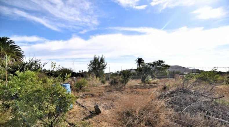 Las Palmas - Agüimes - 16625m2