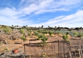 Chalet independiente con terreno en venta en la España, Agüimes, ref: TR350336 foto