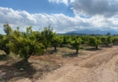 Detached villa with land for sale on España, Masdenverge, ref: TR152704 photo