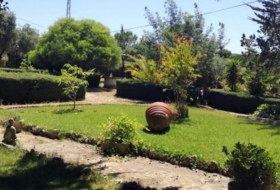 Foto 9