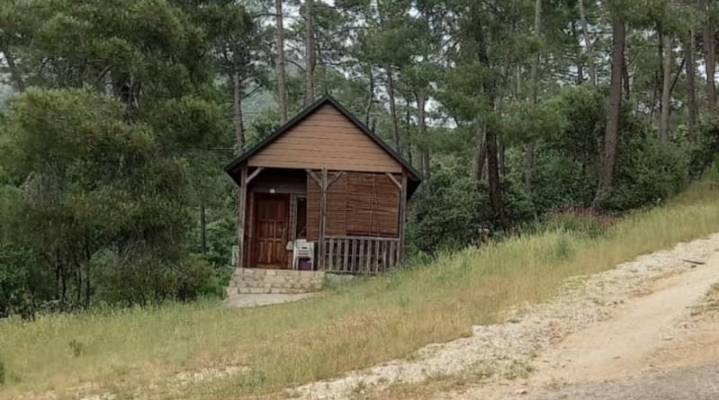 Comunidad de Madrid - Cenicientos - 60000m2