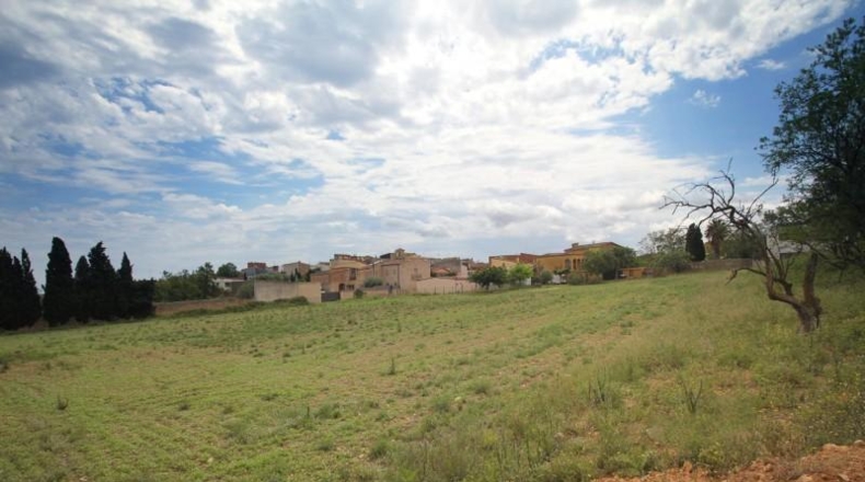 Gerona - Albons - 5445m2