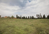 Parcela urbanizable en venta en la España, Albons, ref: TR131190 foto