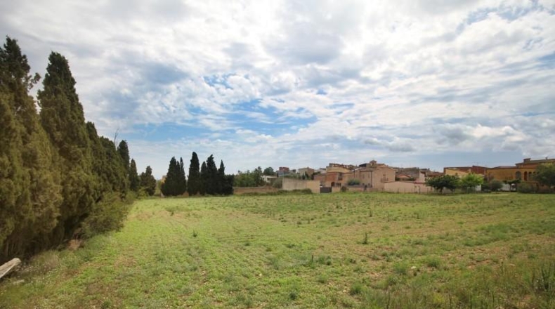 Gerona - Albons - 5445m2