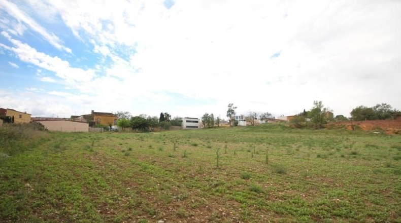 Gerona - Albons - 5445m2