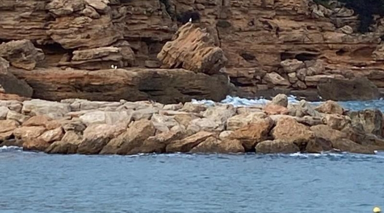 Tarragona - l'Ametlla de Mar - 818m2