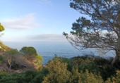 Chalet independiente con terreno en venta en la España, l'Ametlla de Mar, ref: TR399090 foto