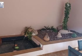 Foto 14