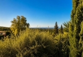 Casa de pueblo en venta en la España, Selva, ref: TR378484 foto