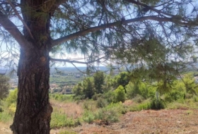 San Roque 3376&nbsp;m²