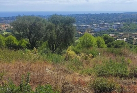 San Roque 3376&nbsp;m²