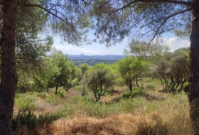 San Roque 3376&nbsp;m²