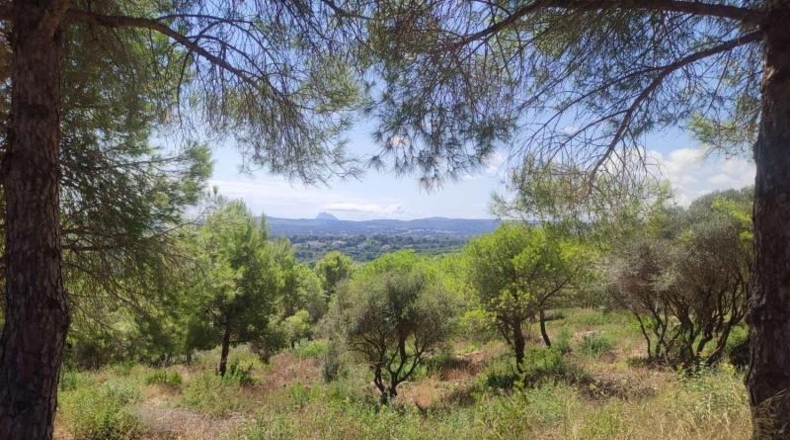 Orense - Vilariño de Conso - 3376m2