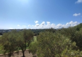 Parcel·la urbanitzable en venda a la España, San Roque, ref.: TR394340 foto