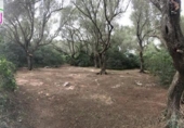 Terreno no urbanizable en venta en la España, Felanitx, ref: TR313776 foto