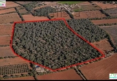 Terreno no urbanizable en venta en la España, Felanitx, ref: TR313776 foto