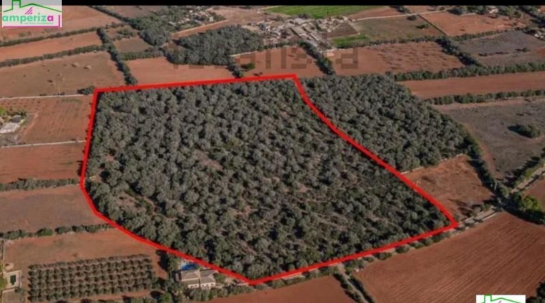 Islas Baleares - Felanitx - 61129m2