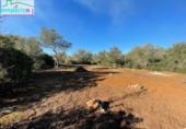 Terreno no urbanizable en venta en la España, Felanitx, ref: TR313776 foto