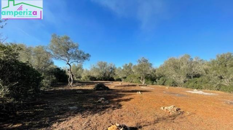Islas Baleares - Felanitx - 61129m2