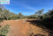 Terreno no urbanizable en venta en la España, Felanitx, ref: TR313776 foto
