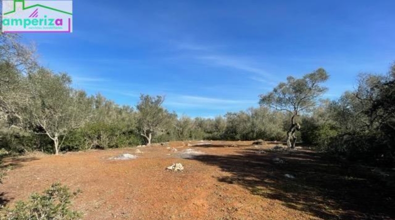 Islas Baleares - Felanitx - 61129m2