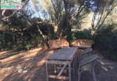 Terreno no urbanizable en venta en la España, Felanitx, ref: TR313776 foto