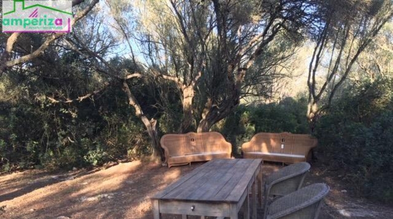 Islas Baleares - Felanitx - 61129m2