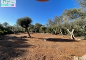Terreno no urbanizable en venta en la España, Felanitx, ref: TR313776 foto