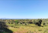 House with land for sale on España, Felanitx, ref: TR287729 photo