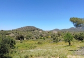House with land for sale on España, Felanitx, ref: TR287729 photo