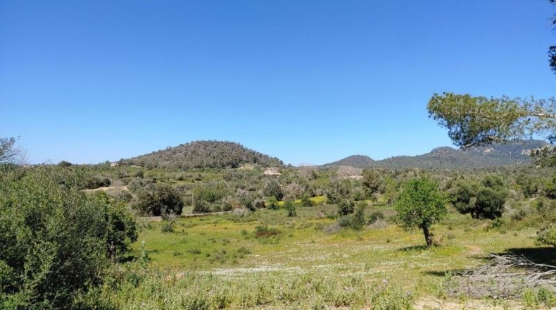 Illes Balears - Felanitx - 23000m2