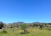House with land for sale on España, Felanitx, ref: TR287729 photo