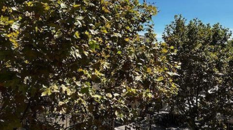 Barcelona - Vilanova i la Geltrú - 172m2
