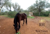 Terreno no urbanizable en venta en la España, Felanitx, ref: TR223225 foto