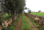 Terreno no urbanizable en venta en la España, Felanitx, ref: TR223225 foto