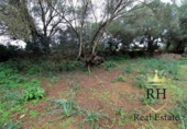 Terreno no urbanizable en venta en la España, Felanitx, ref: TR223225 foto