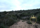 Terreno no urbanizable en venta en la España, Felanitx, ref: TR223225 foto