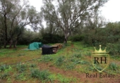 Terreno no urbanizable en venta en la España, Felanitx, ref: TR223225 foto