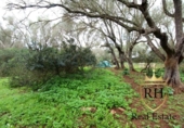 Terreno no urbanizable en venta en la España, Felanitx, ref: TR223225 foto