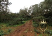 Terreno no urbanizable en venta en la España, Felanitx, ref: TR223225 foto