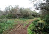 Terreno no urbanizable en venta en la España, Felanitx, ref: TR223225 foto