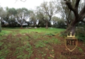 Terreno no urbanizable en venta en la España, Felanitx, ref: TR223225 foto